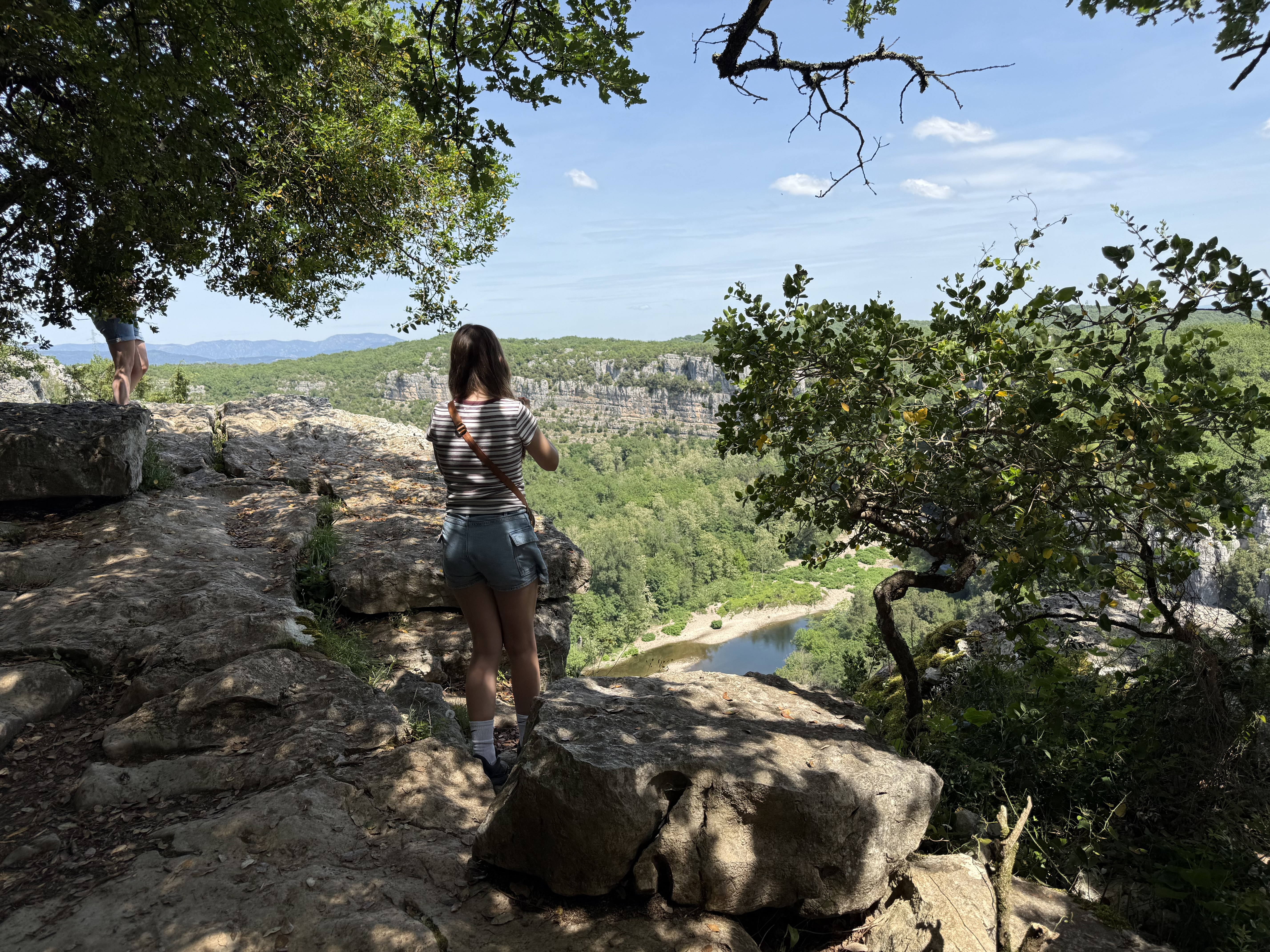 Wandelaar op een rotsplateau met uitzicht over de bossen en rivier